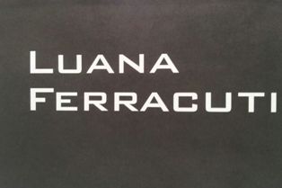 Luana ferracuti best sale handbags tj maxx
